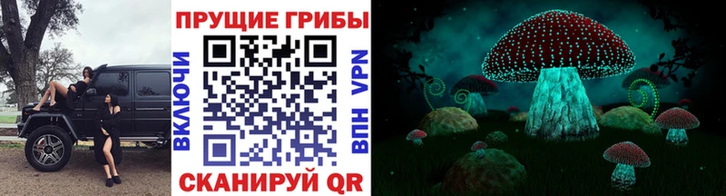 Купить  Егорьевск  Галлюциногенные грибы Magic Shrooms 