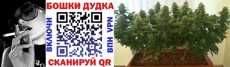 Купить где  Егорьевск  Канабис MAZAR 